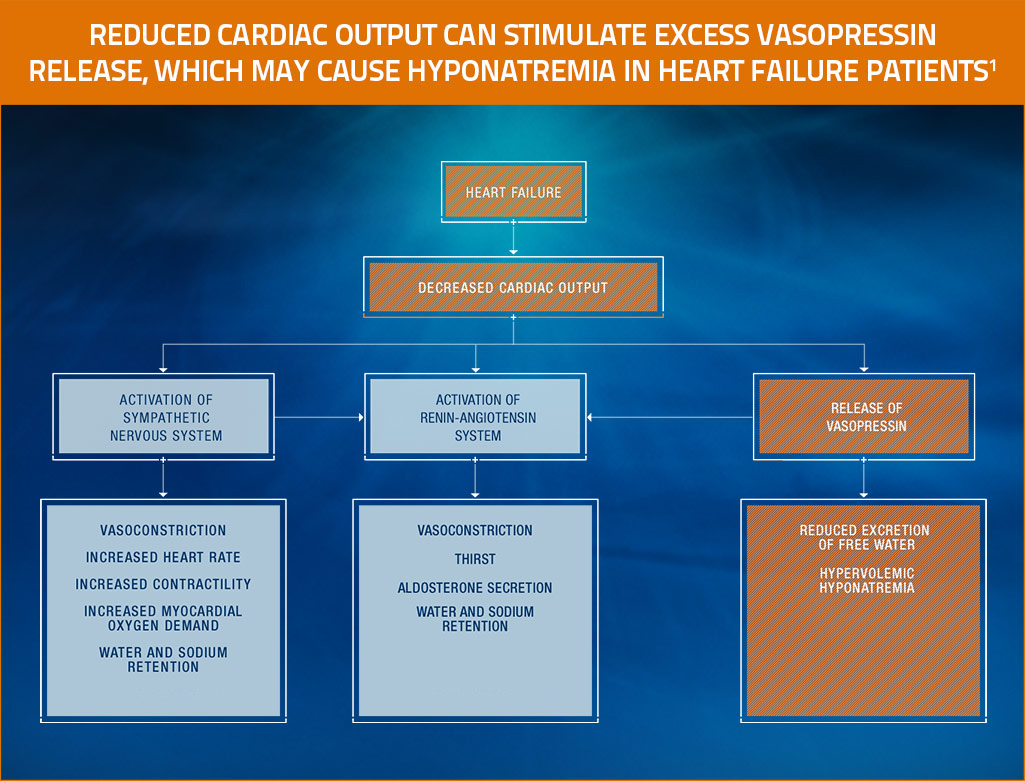 Pathophysiology chart showing the relationship between heart failure and hyponatremia.